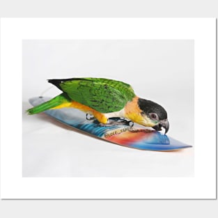 Surfer Birb Posters and Art